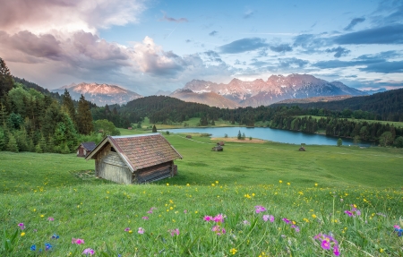 娱乐圈重磅爆料